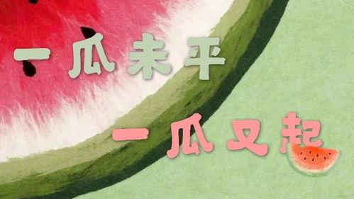 娱乐吃瓜君刘二豆,从萌宠网红到人气王，揭秘“会说话的猫咪”背后的故事