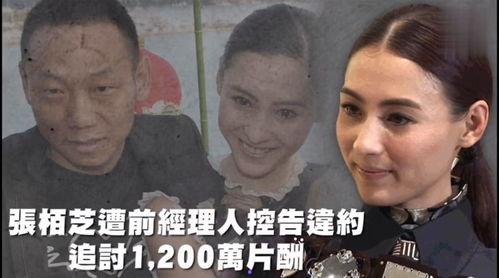 吃瓜娱乐666,带你领略娱乐八卦的魅力世界