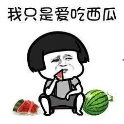 吃瓜娱乐666,带你领略娱乐八卦的魅力世界