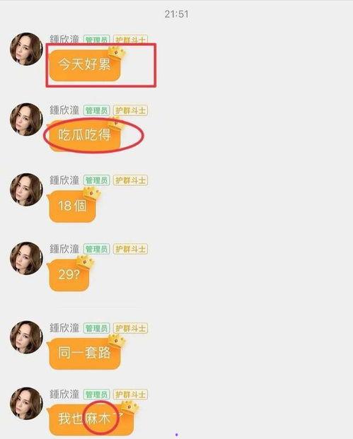 留学生圈vs娱乐圈吃瓜,吃瓜文化的碰撞与交融