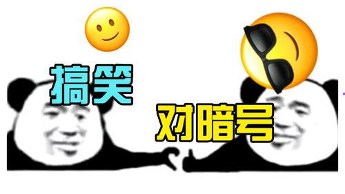 娱乐吃瓜酱笑话段子视频,娱乐吃瓜酱的幽默段子视频集锦