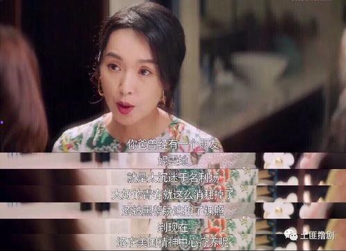 娱乐圈吃瓜短剧是谁演的,揭秘幕后主演阵容