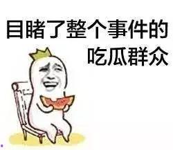吃瓜鹅娱乐速报鸡你太美,吃瓜鹅娱乐速报下的网络热词解析